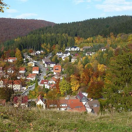 Hotel Pension Rheingold Garni Bad Grund Exterior foto