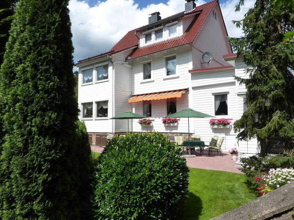 Hotel Pension Rheingold Garni Bad Grund Exterior foto