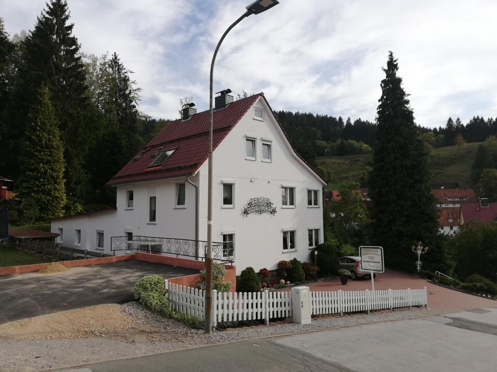 Hotel Pension Rheingold Garni Bad Grund Exterior foto