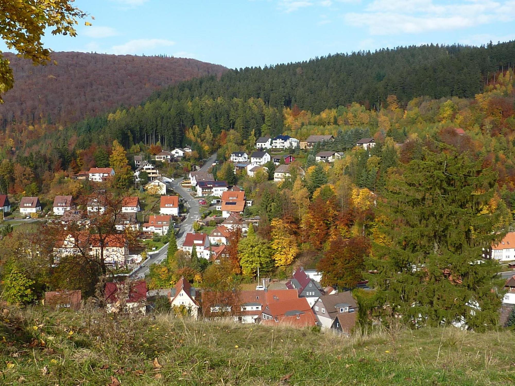 Hotel Pension Rheingold Garni Bad Grund Exterior foto