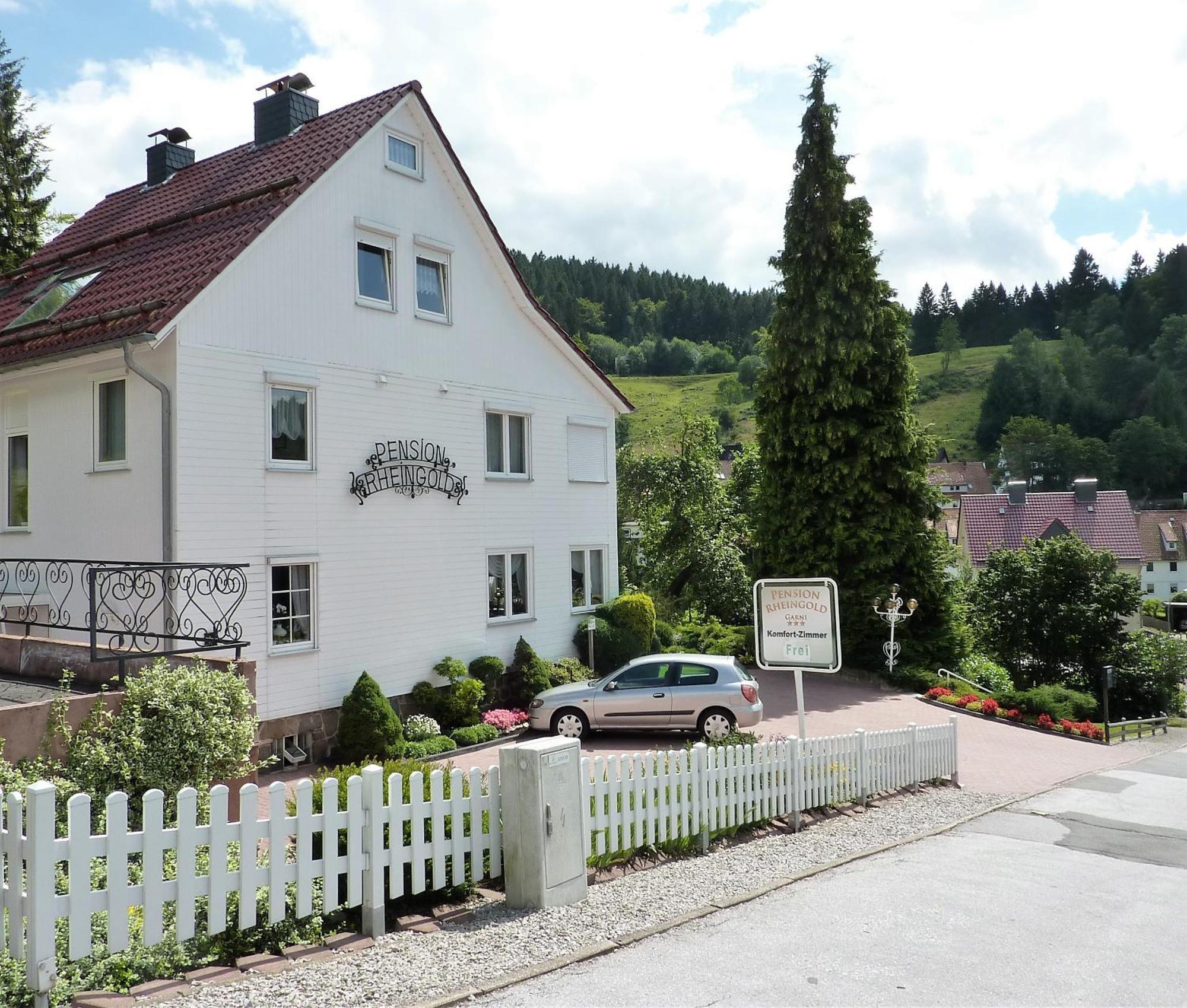 Hotel Pension Rheingold Garni Bad Grund Exterior foto