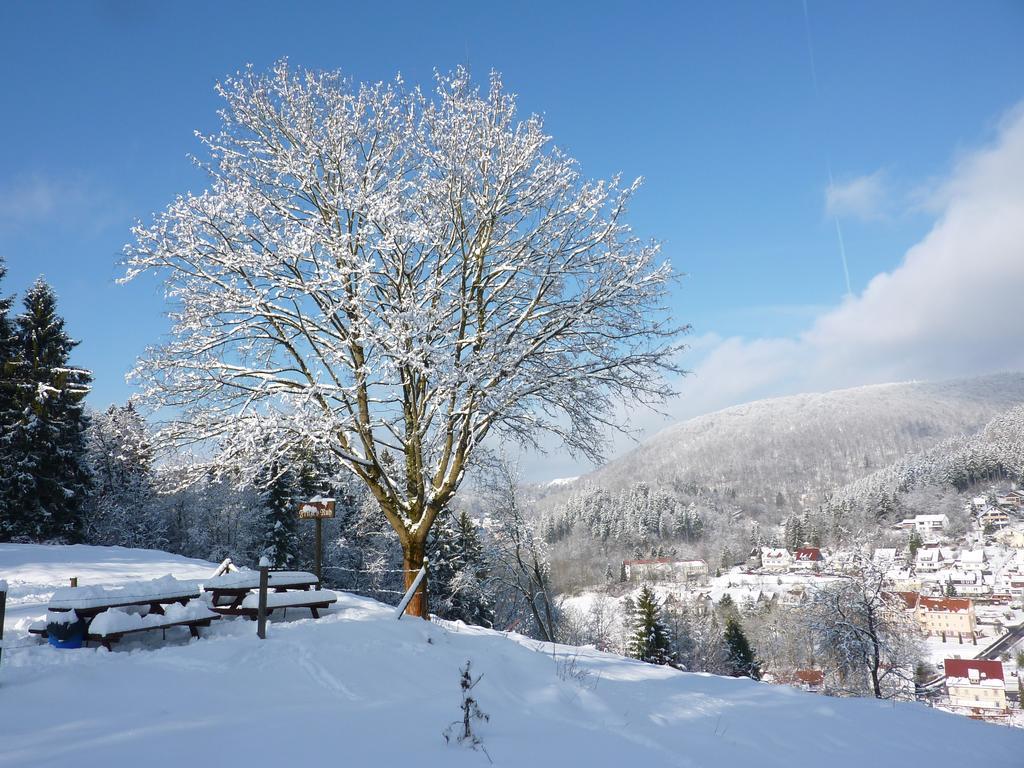 Hotel Pension Rheingold Garni Bad Grund Exterior foto