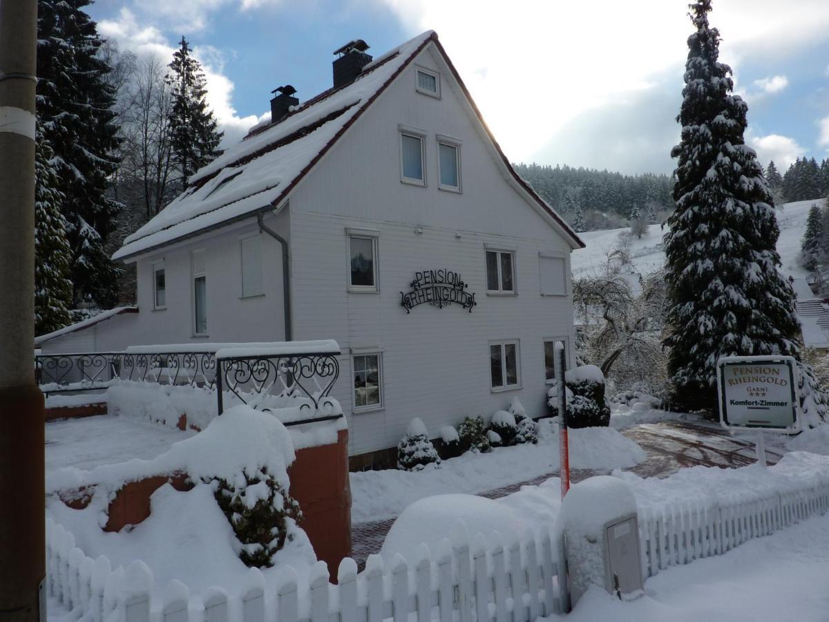 Hotel Pension Rheingold Garni Bad Grund Exterior foto